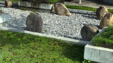 Sessiz, durgun bir sabah görüntüsü Tayland binasının çatısındaki bir bahçe. Yumuşak, ılık sabah ışığı oyulmuş taş süslemeler ve alçak duvarlar, renklendirilmiş dokular, yosunlar ve yıpranmış ezgiler..