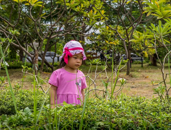 Asian toddler girl — Stock Photo, Image