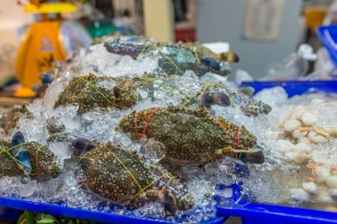 Deniz ürünleri pazarında