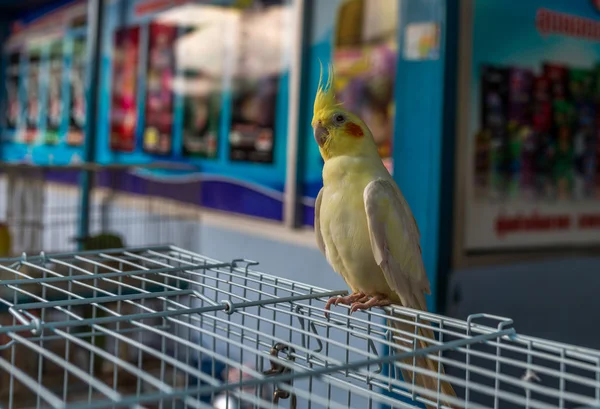 Stanice metra Mall, Bangkok, Thajsko — Stock fotografie