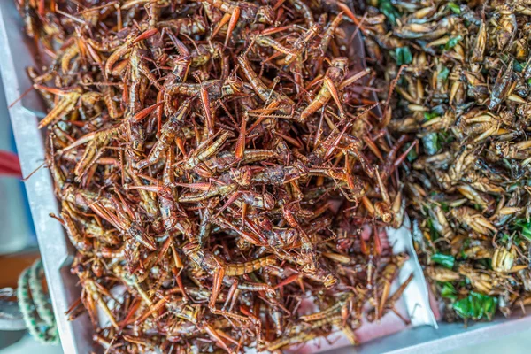 Jatujak, Bangkok, Tailândia — Fotografia de Stock