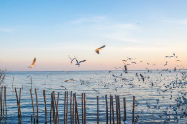 Samut Prakan, Tayland