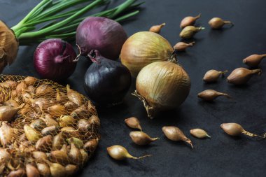 Karanlık bir arka plan üzerinde güzel yay