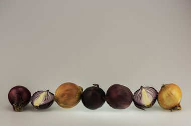 Soğan, büyük miktarda yatay bir satırda dağılın