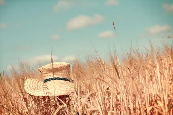 Paisagem rural retro — Fotografia de Stock