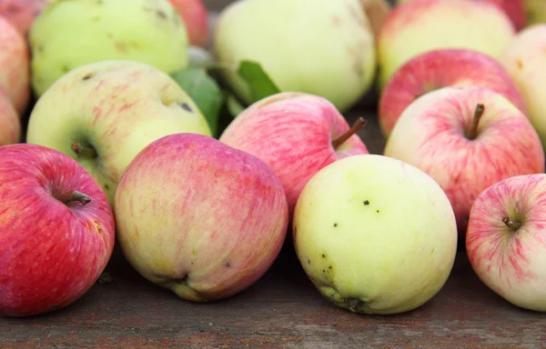 에코 사과 수확 — 스톡 사진