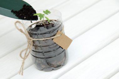 Yeni bir proje için destek