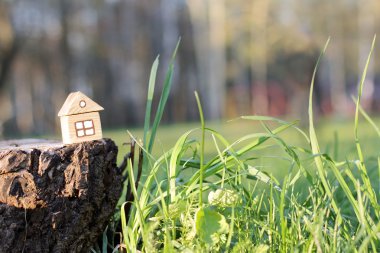 insan yerleşime kenarlık