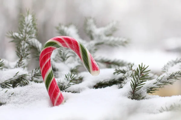 Striped Candy Staff Snowdrift Background Branches Christmas Tree Winter Sweet — Stock Photo, Image