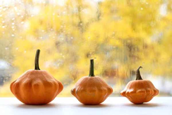 Drei Orangefarbene Kürbisse Auf Dem Fensterhintergrund Nach Dem Regen Herbstdekoration — Stockfoto