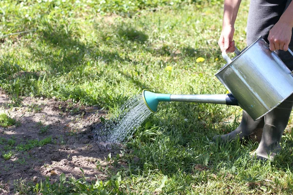 Gardener Watering Future Bed Tin Can Garden Moistening Soil Hot — Stock Photo, Image