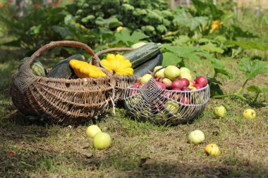 Arka planda meyve ve sebzelerle dolu hasır retro sepsiyon. Güneşli yaz mevsimi.