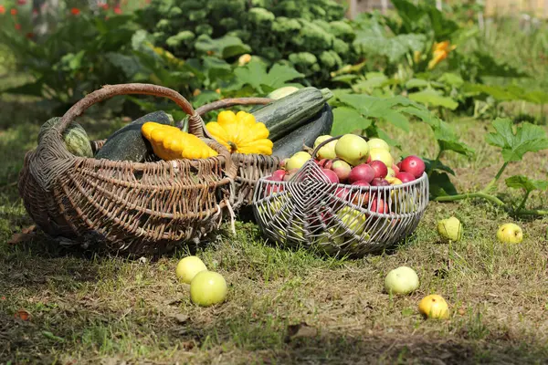 Arka planda meyve ve sebzelerle dolu hasır retro sepsiyon. Güneşli yaz mevsimi.