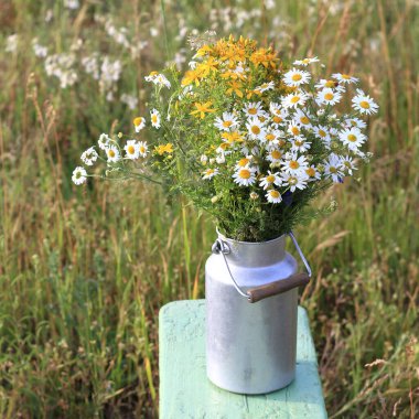 Bahçenin arka planındaki bir kutuda taze koparılmış kır çiçekleri. Bir buket sağlık.