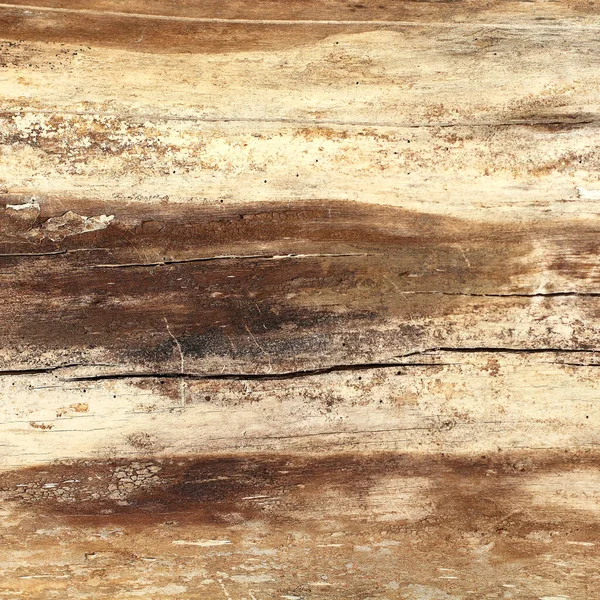 亀裂傷や虫による損傷の兆候を持つ木製の表面 とても古い木の質感 — ストック写真