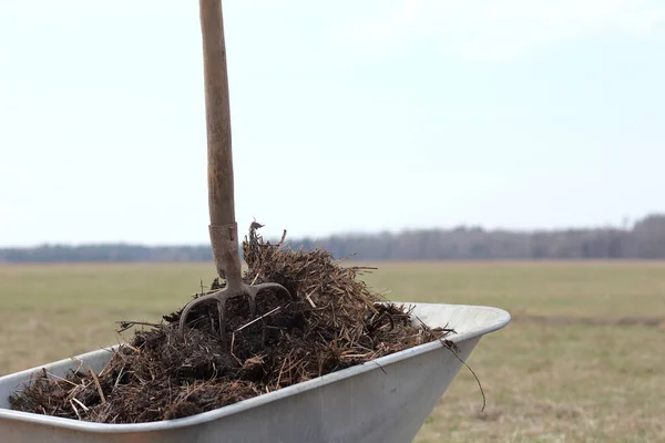 腐烂的粪肥和一个村庄的干草叉 在花园的手推车里 在田野的背景下 春季饲料用有机肥 — 图库照片