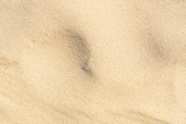 Sand texture background on the beach. Light beige sea sand texture pattern, sandy beach background.