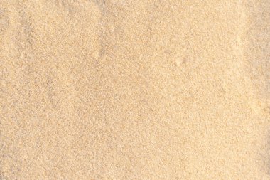Sahildeki kum dokusu. Açık bej rengi deniz kumu deseni, kumlu plaj arkaplanı..