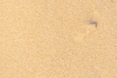 Arka plan için kum deseni dokusu. Tropikal kumsaldan gelen kahverengi çöl deseni. Yakın plan..