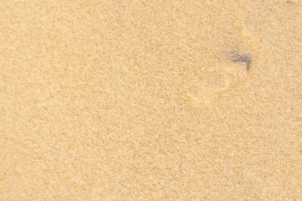 Sand Pattern Texture Background Brown Desert Pattern Tropical Beach Close — Stock Photo, Image