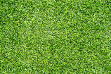 Arka plan için yeşil çimen dokusu. Yeşil çimen deseni ve doku arkaplanı. Yakın plan..