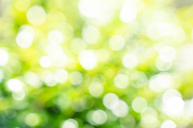 Güneş ışığına sahip bokeh yaprağı, soyut arkaplan için kullan.