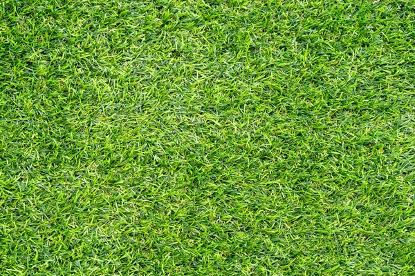 Green Grass Texture Background Green Lawn Pattern Texture Background Close — Stock Photo, Image