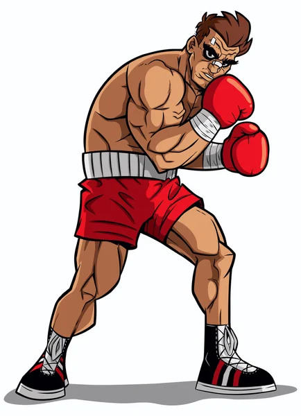 Boxer on White — Stock Vector