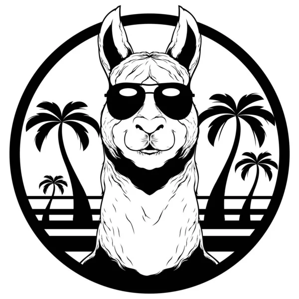 Mascotte d'été Lama — Image vectorielle