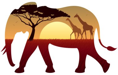 Afrika fili manzara