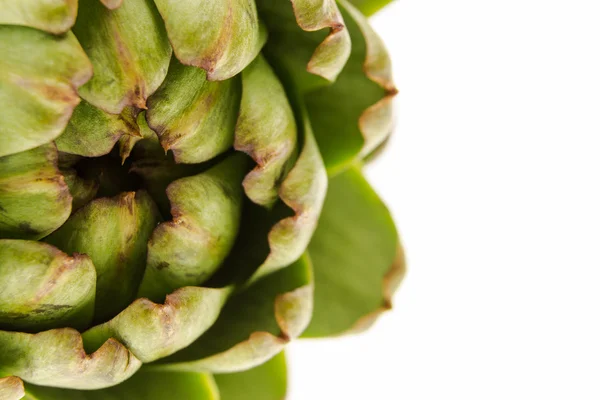 Alcachofa fresca, macrofotografía en blanco con espacio de copia — Foto de Stock