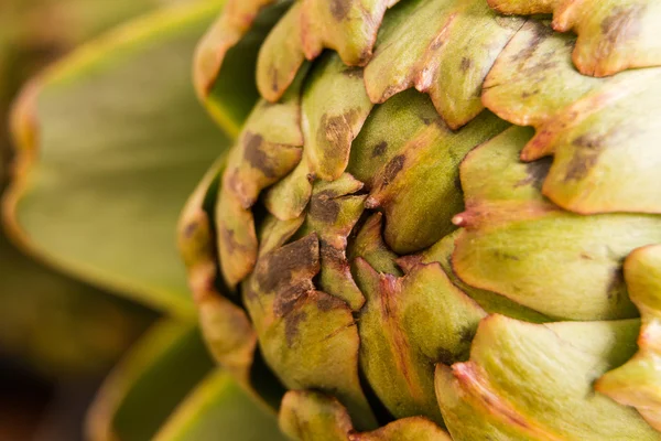 Zdjęcia z naturalnego światła makro świeże karczochy — Zdjęcie stockowe