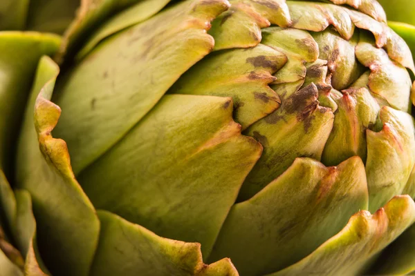 Macro alcachofa fresca con luz natural — Foto de Stock