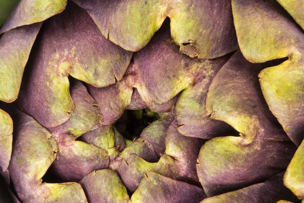 Alcachofra roxa macro tiro com luz natural — Fotografia de Stock