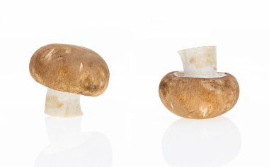 Düğme mantar, beyaz arka plan üzerinde izole.