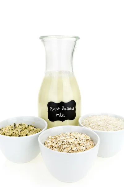 Botella de leche casera a base de plantas y tazones con ingredientes, sobre fondo blanco — Foto de Stock