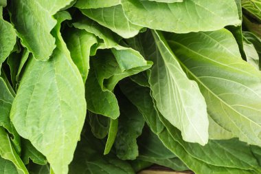 Amaranthus blitum tatlı taze yeşil yaprakları
