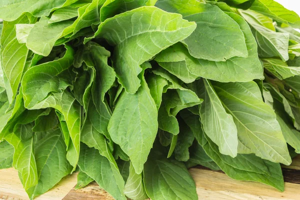 Folhas verdes frescas de amaranthus blitum closeup na superfície de madeira — Fotografia de Stock