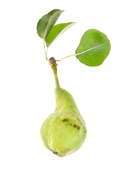 Pera verde con hojas de primer plano, sobre fondo blanco . —  Fotos de Stock