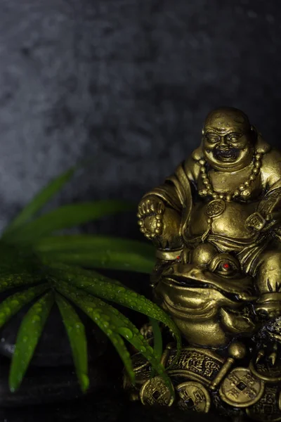 Wet Laughing Buddha with black basalt stones and  green leaf, on black background