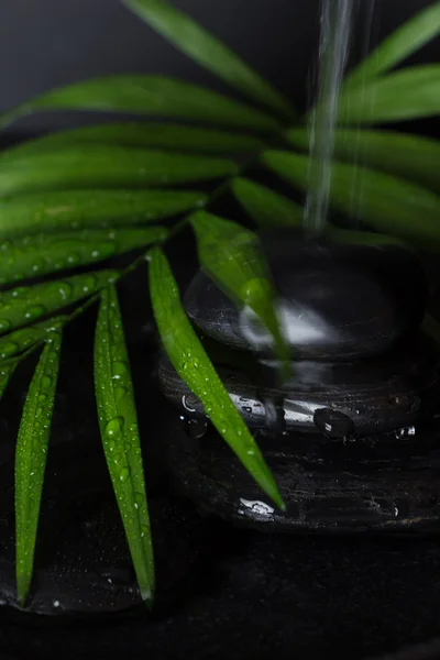 Nasse schwarze Basaltsteine mit grünem Blatt und fließendem Wasser, auf schwarzem Hintergrund — Stockfoto