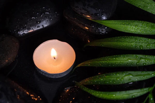 Candela profumata su pietre bagnate nere e foglia verde con goccioline, fotografia scura — Foto Stock