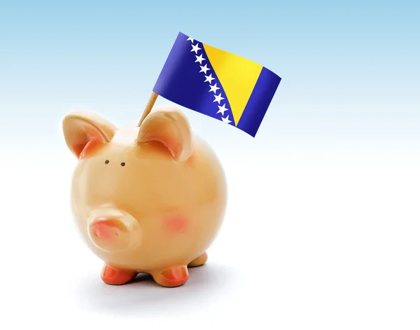Банк свиней с государственным флагом Боснии и Герцеговины — стоковое фото