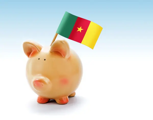Банк свиней с национальным флагом Камеруна — стоковое фото