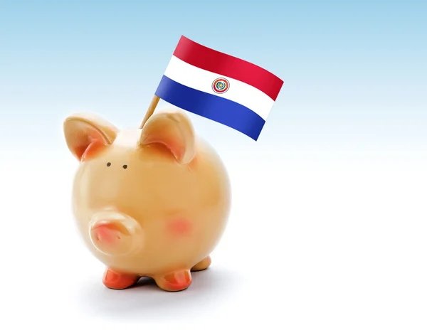 Piggy bank met nationale vlag van Paraguay — Stockfoto