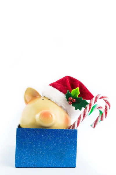 Свинячий банк Санта в подарунковій коробці ізольовано на білому — стокове фото