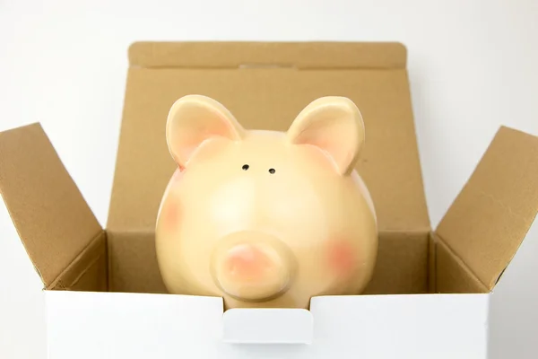 Top of opened carton box with piggy bank inside on white — Stock Photo, Image