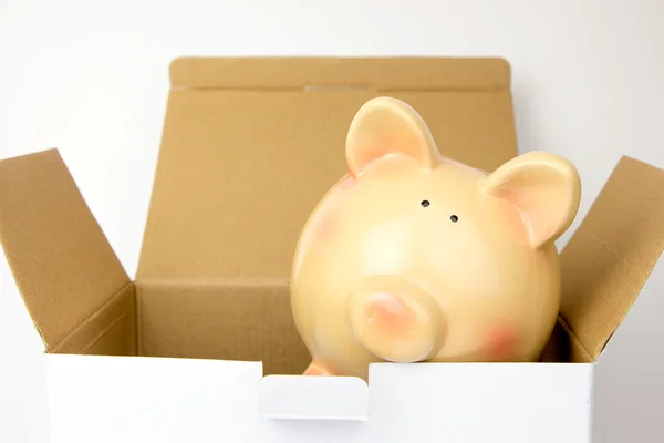 Top of opened carton box with piggy bank inside on white — Stock Photo, Image