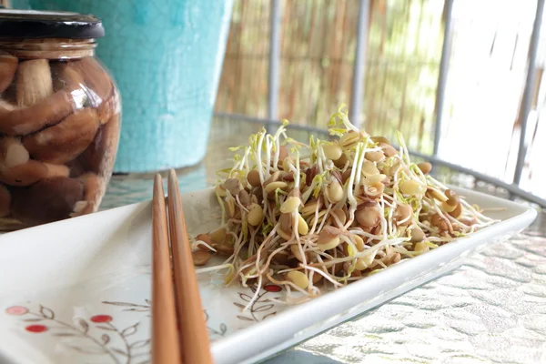 Ensalada de germinados de lentejas en plato con palillos — Foto de Stock