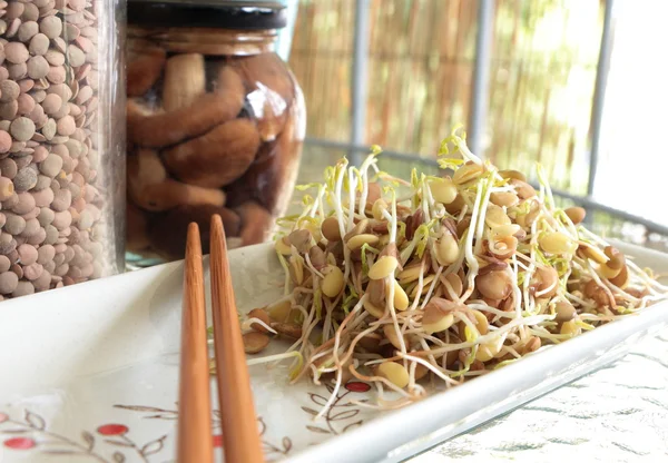 Ensalada de germinados de lentejas en plato con palillos —  Fotos de Stock